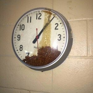 God's hairiest twink