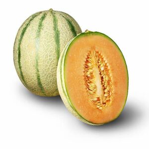 stationary_melon